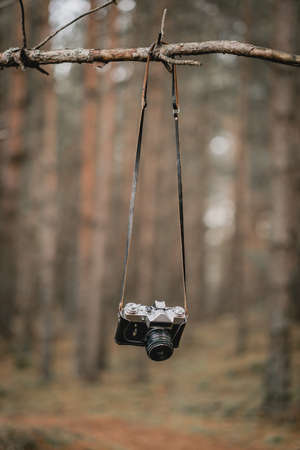 Stylish soviet vintage camera in a forestの写真素材