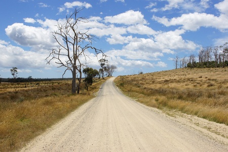 Typical dirt road in the north of Tasmania, Australiaの写真素材