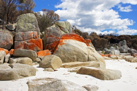 Bay of Fires, one of the most beautiful beaches of the world  Tasmania, Australiaの写真素材