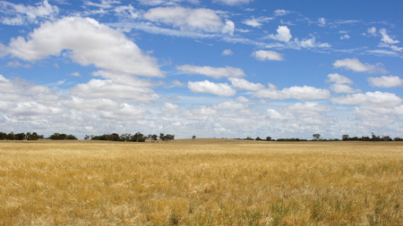 Landscape of South Australia, Australiaの写真素材
