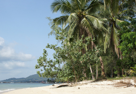 Beach on Koh Samui, Thailand, Southeast Asia                   の写真素材