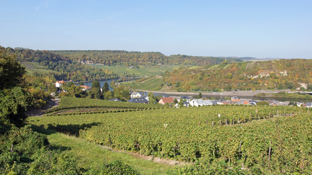 Moselle valley close to Machtum, Luxembourg, Europeの写真素材
