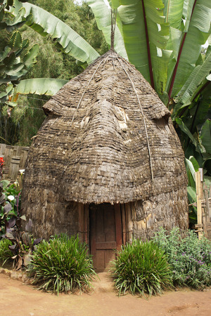 Traditional houses of Dorze people, Ethiopia, Africaのeditorial素材