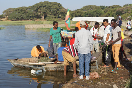 AWASSA, ETHIOPIA - NOVEMBER 16, 2014: People on the fish market of Awassa on November 16, 2014 in Awassa, Great Rift Valley, Ethiopia, Africaのeditorial素材