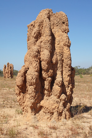 Termite mound, Kakadu National Park, Australiaの写真素材