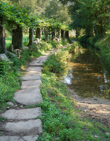 Pilgrim trail between Tui and O Porrino on the Camino de Santiago trail, Spainの写真素材