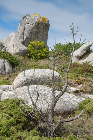 Beautiful landscape of Galicia, coastline close to O Grove, Spain, Europeの写真素材