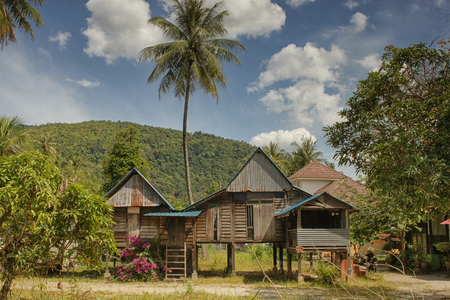 Traditional rural residence with palm tree, village on Penang Island, Malaysiaの写真素材