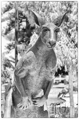 PERTH, AUSTRALIA - JANUARY 21, 2018: Statue of kangaroo most popular animal of Australia in downtown Perth on January 21, 2018 in Western Australiaのeditorial素材