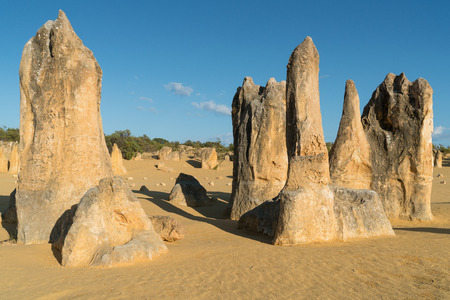 Pinnacles Desert in early morning light, Nambung National Park, Western Australiaの写真素材