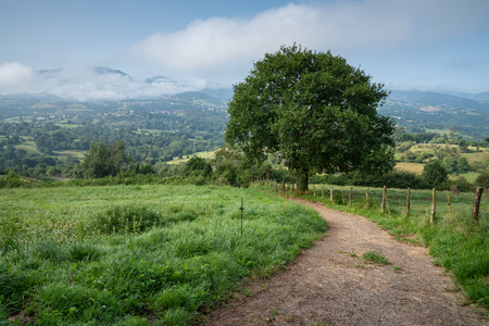 Beautiful landscape along the Camino de Santiago trail between Oviedo and Grado, Asturias, Spainの写真素材