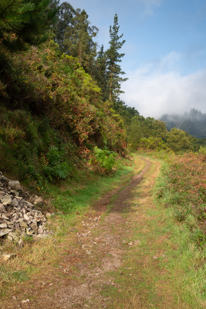 Camino  Santiago trail between Salas and Tineo, Asturias, Spainの写真素材