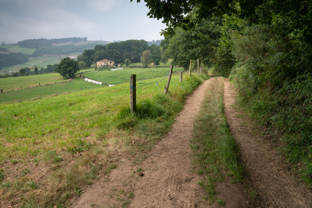 Camino de Santiago trail between Tineo and Pola de Allande, Asturias, Spainのeditorial素材