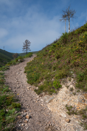 Camino de Santiago trail between Pola de Allande and Grandas de Salime, Asturias, Spainの写真素材