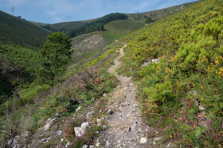 Camino de Santiago trail between Pola de Allande and Grandas de Salime, Asturias, Spainの写真素材