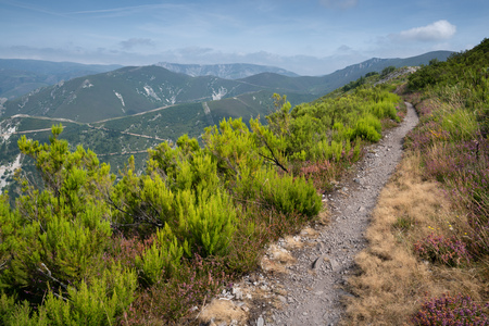 Camino de Santiago trail between Pola de Allande and Grandas de Salime, Asturias, Spainの写真素材