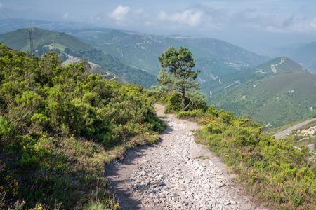 Camino de Santiago trail between Pola de Allande and Grandas de Salime, Asturias, Spainの写真素材