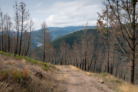Camino de Santiago trail between Pola de Allande and Grandas de Salime, Asturias, Spainの写真素材