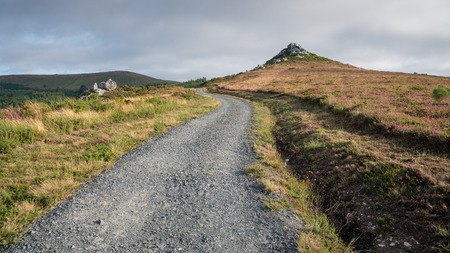 Panoramic landscape along the Camino de Santiago trail between Lugo and Melide, Galicia, Spainの写真素材