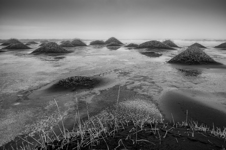 Mystic landscape of Stokksnes close to Hoefn at dusk, Iceland, Europeの写真素材