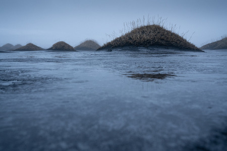 Mystic landscape of Stokksnes close to Hoefn at dusk, Iceland, Europeの写真素材