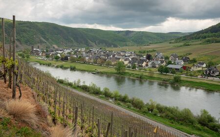 Panoramic image of the Moselle village Ernst close to Cochem on a dully day in springtime, Germanyの写真素材