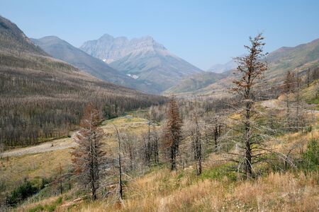 Waterton lake, Landscape of the Waterton Lakes National Park with blue sky, Alberta, Canadaの写真素材