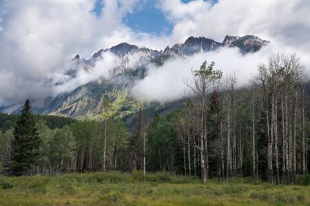 Panoramic image of the landscape along the Bow Valley Parkway, Banff National Park, Alberta, Canadaの写真素材