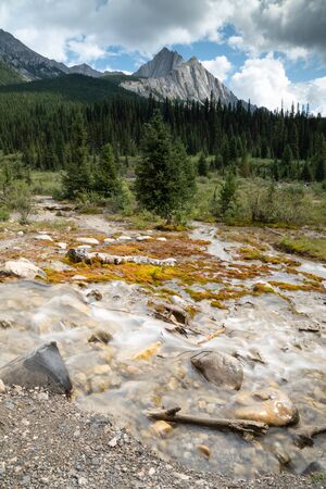 Landscape close to Bow Valley Parkway, Banff National Park, Alberta, Canadaの写真素材