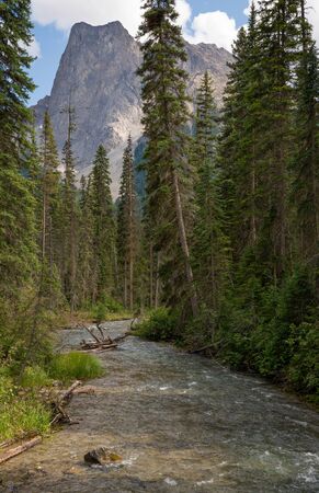 Landscape around Emerald Lake, Yoho National Park, British Columbia, Canadaの写真素材