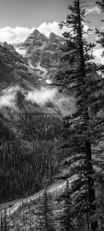 Small creek within the Rocky Mountains close to Lake Louise, Banff National Park, Alberta, Canadaの写真素材