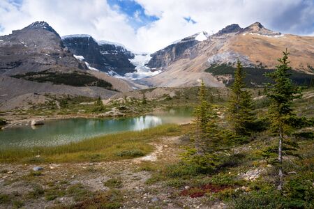 Panoramic image of the Columbia Icefield, Icefield Parkway, Jasper National Park, Alberta, Canadaの写真素材