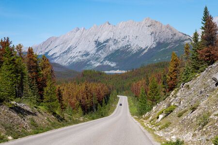 Panoramic image of Jasper National Park, Maligne Road, Alberta, Canadaの写真素材