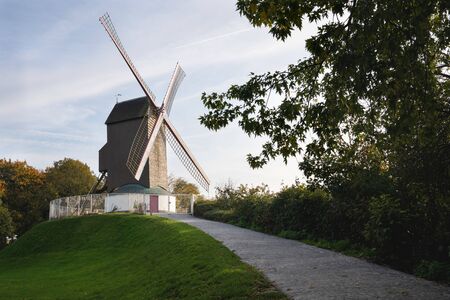 Historic windmill close to the canals of Bruges with autumnal colored trees, Belgiumの写真素材