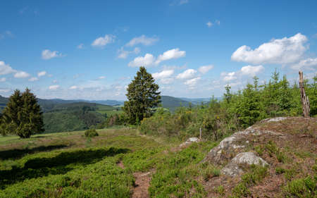 Panoramic landscape of National Park 'Kalte Kirche' close to Schmallenberg, Sauerland, Germanyの写真素材
