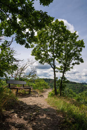 Hiking trail with bench under trees close to Bernkastel, Moselle, Germanyの写真素材