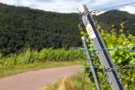 EDIGER-ELLER, GERMANY - JUNE 21, 2020: Long distance hiking trail Moselsteig with focus on the typical waymark on June 21, 2020 in Germanyのeditorial素材