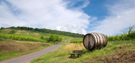Moselsteig close to Ellenz-Poltersdorf with panoramic landscape, vinyards and a bench in front of a big wooden barrel, Germanyの写真素材