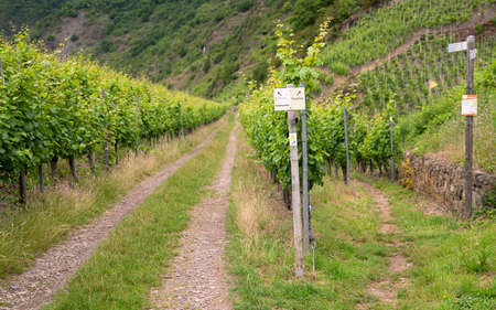 EDIGER-ELLER, GERMANY - JUNE 21, 2020: Long distance hiking trail Moselsteig with focus on the typical waymark on June 21, 2020 in Germanyのeditorial素材