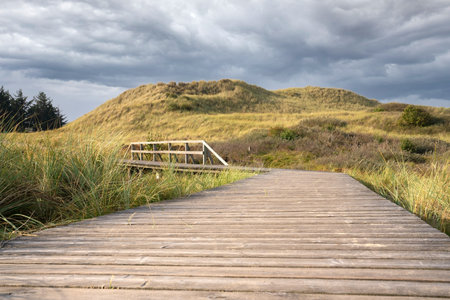 Panoramic image of the coastal landscape of Amrum, North Sea, Germanyの素材 [FY310162817993]