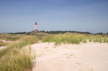 Panoramic image of the dunes of Amrum with the lighthouse, Germanyの写真素材