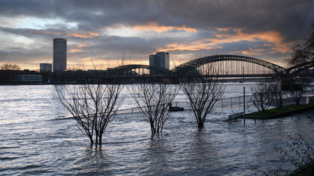 COLOGNE, GERMANY - FEBRUARY 4, 2021: High water on the river Rhine in Cologne on February 4, 2021 in Germanyのeditorial素材