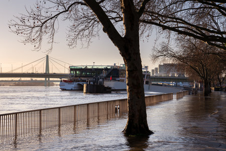COLOGNE, GERMANY - FEBRUARY 4, 2021: High water on the river Rhine in Cologne on February 4, 2021 in Germanyのeditorial素材