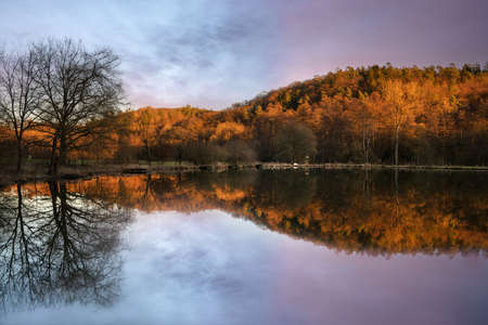 Fishpond close to Lindlar with water reflection during early morning mood, Bergisches Land, Germanyの写真素材