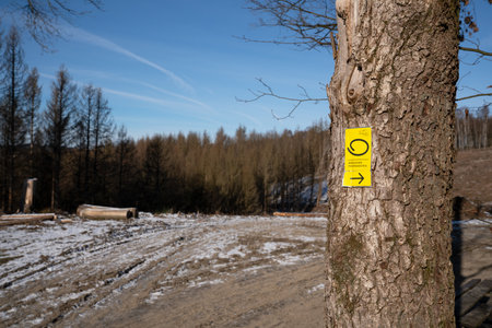 LINDLAR, GERMANY - FEBRUARY 14, 2021: Long distance hiking trail Bergischer Panoramasteig during winter with focus on the typical waymark on February 14, 2021 in Germanyのeditorial素材