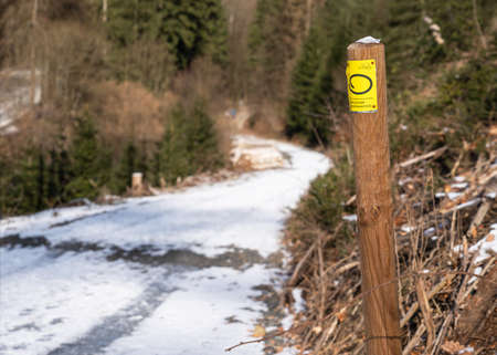 LINDLAR, GERMANY - FEBRUARY 14, 2021: Long distance hiking trail Bergischer Panoramasteig during winter with focus on the typical waymark on February 14, 2021 in Germanyのeditorial素材