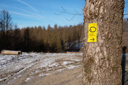 LINDLAR, GERMANY - FEBRUARY 14, 2021: Long distance hiking trail Bergischer Panoramasteig during winter with focus on the typical waymark on February 14, 2021 in Germanyのeditorial素材
