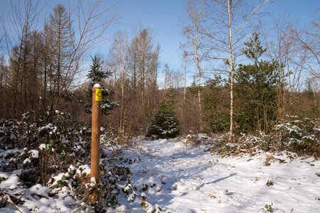 LINDLAR, GERMANY - FEBRUARY 14, 2021: Long distance hiking trail Bergischer Panoramasteig during winter with focus on the typical waymark on February 14, 2021 in Germanyのeditorial素材