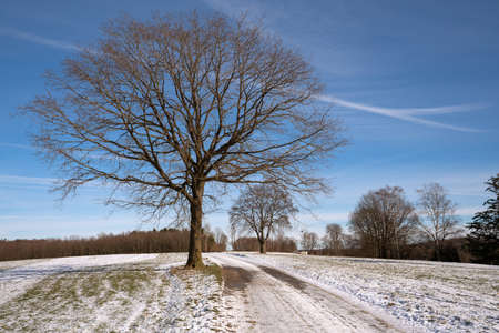 Panoramic image of the snow covered landscape close to Lindlar on a winter day, Bergisches Land, Germanyの写真素材