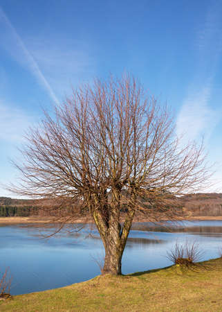 Panoramic image of Dhunn water reservoir, Bergisches Land, Germanyの写真素材